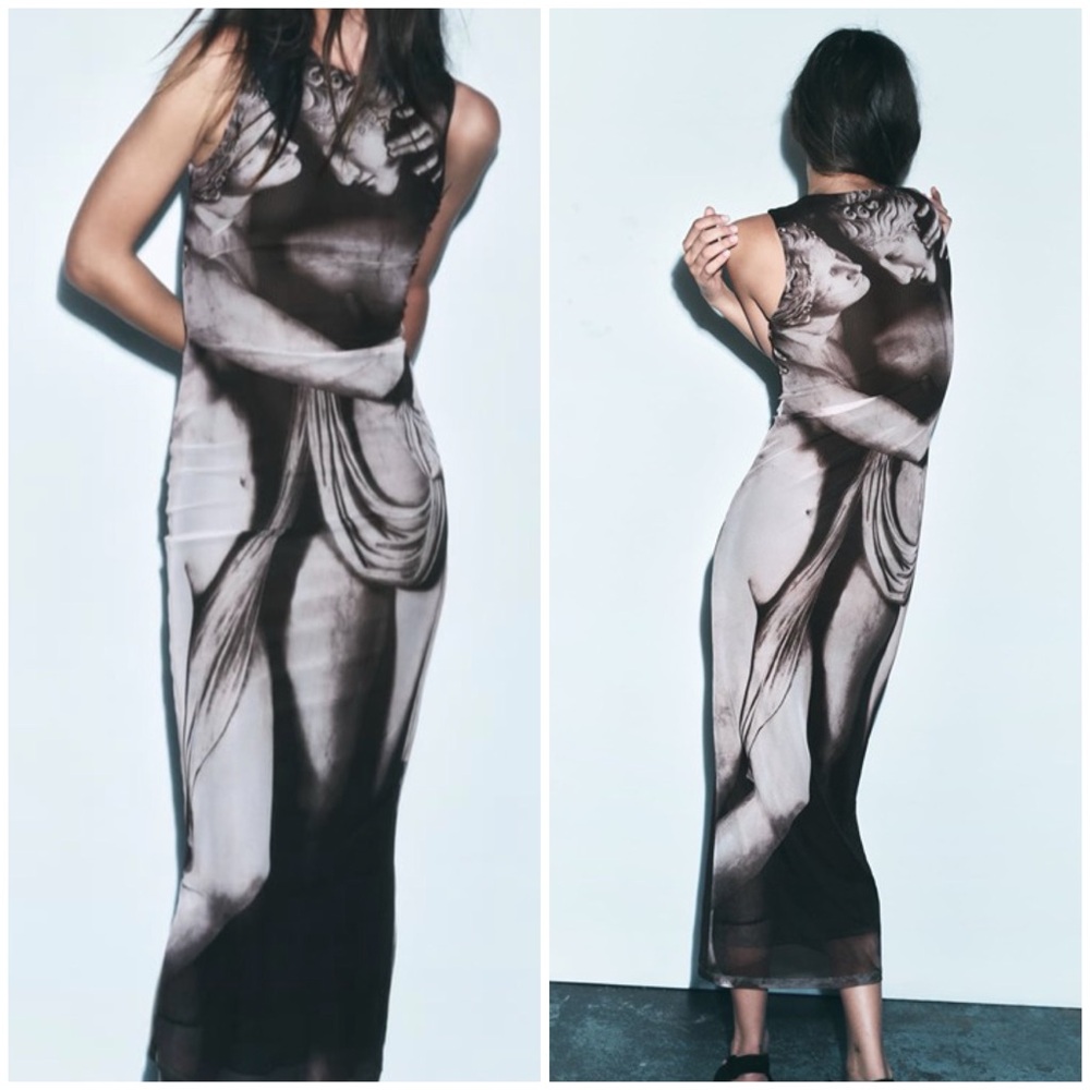 Zara Printed Tulle Dress